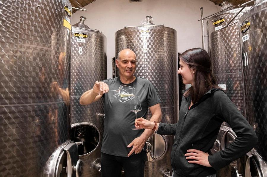 Weingut Donabaum "In Der Spitz" Lejlighed Spitz an der Donau Eksteriør billede