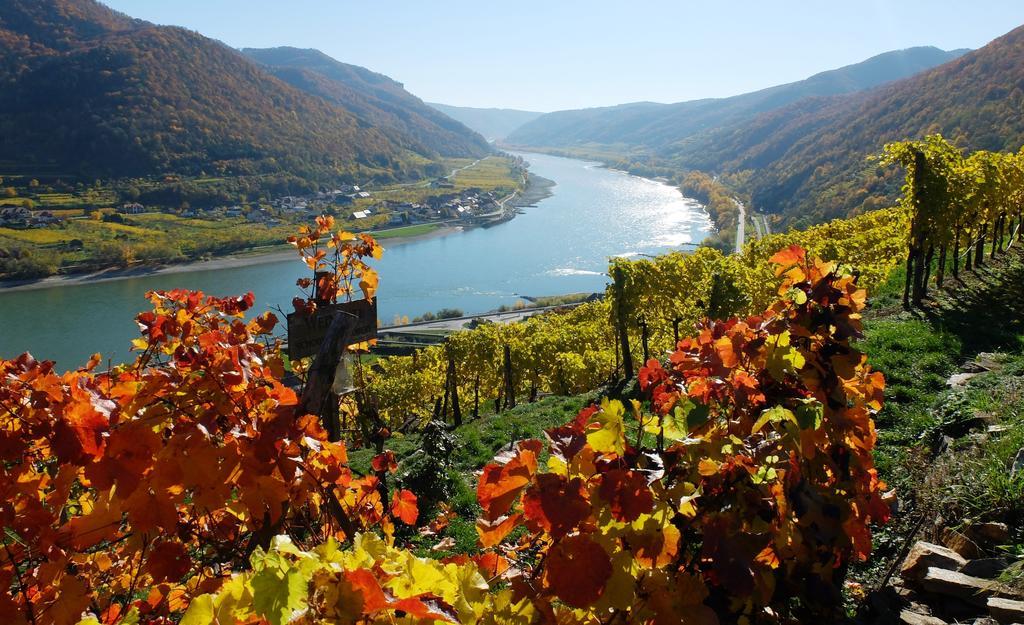 Weingut Donabaum "In Der Spitz" Lejlighed Spitz an der Donau Eksteriør billede