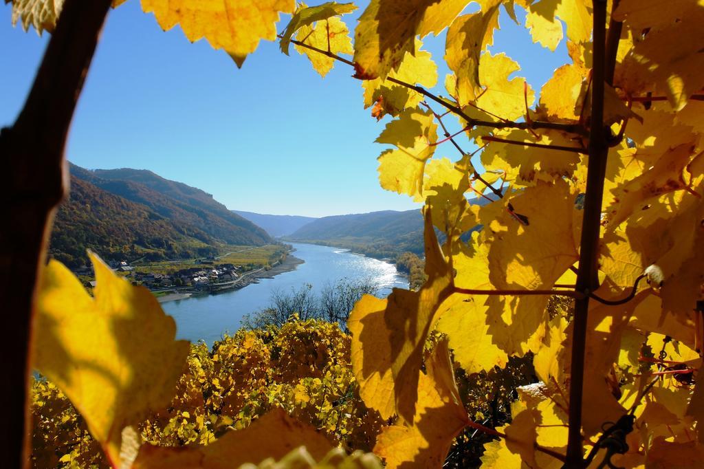 Weingut Donabaum "In Der Spitz" Lejlighed Spitz an der Donau Eksteriør billede