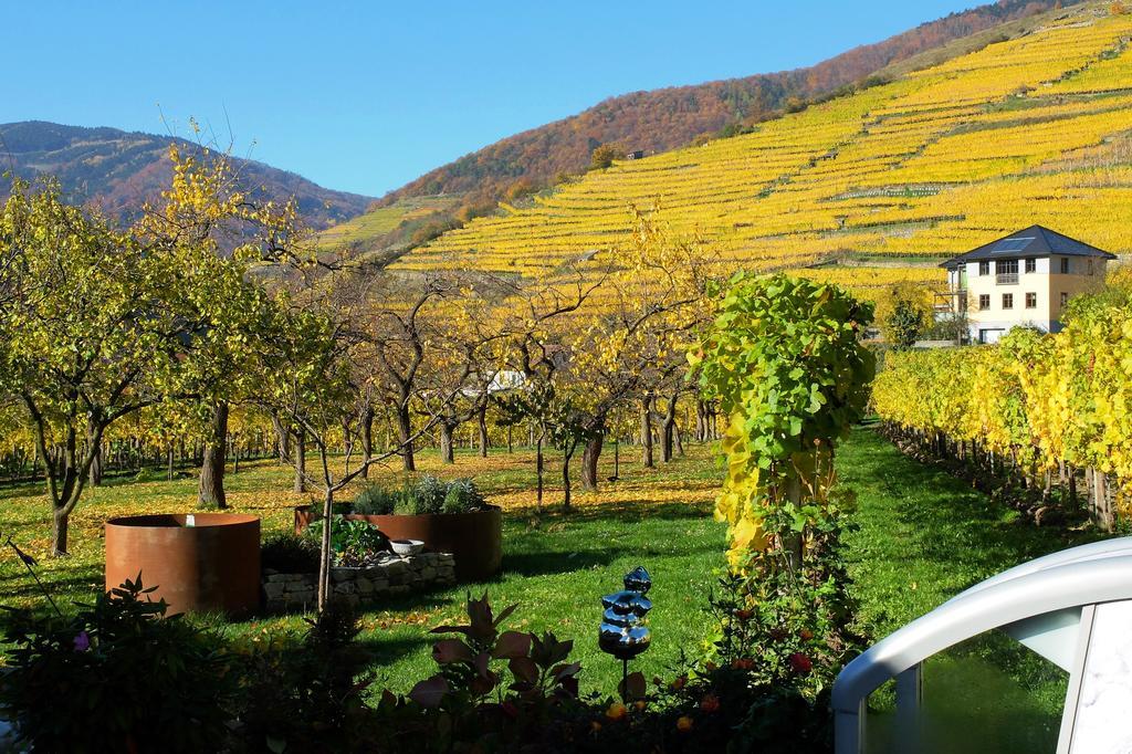 Weingut Donabaum "In Der Spitz" Lejlighed Spitz an der Donau Eksteriør billede