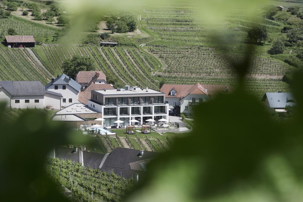 Weingut Donabaum "In Der Spitz" Lejlighed Spitz an der Donau Eksteriør billede