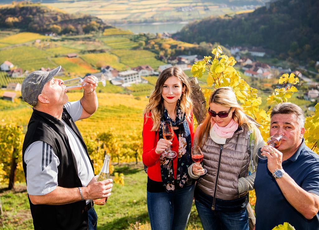 Weingut Donabaum "In Der Spitz" Lejlighed Spitz an der Donau Eksteriør billede