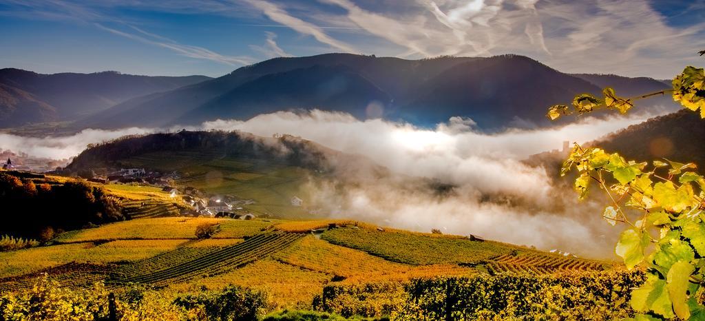 Weingut Donabaum "In Der Spitz" Lejlighed Spitz an der Donau Eksteriør billede