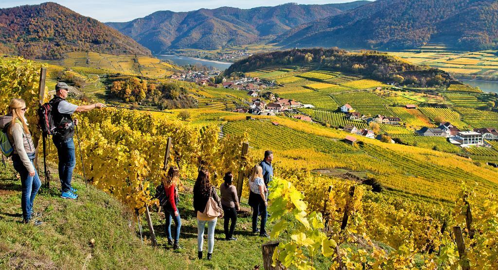 Weingut Donabaum "In Der Spitz" Lejlighed Spitz an der Donau Eksteriør billede