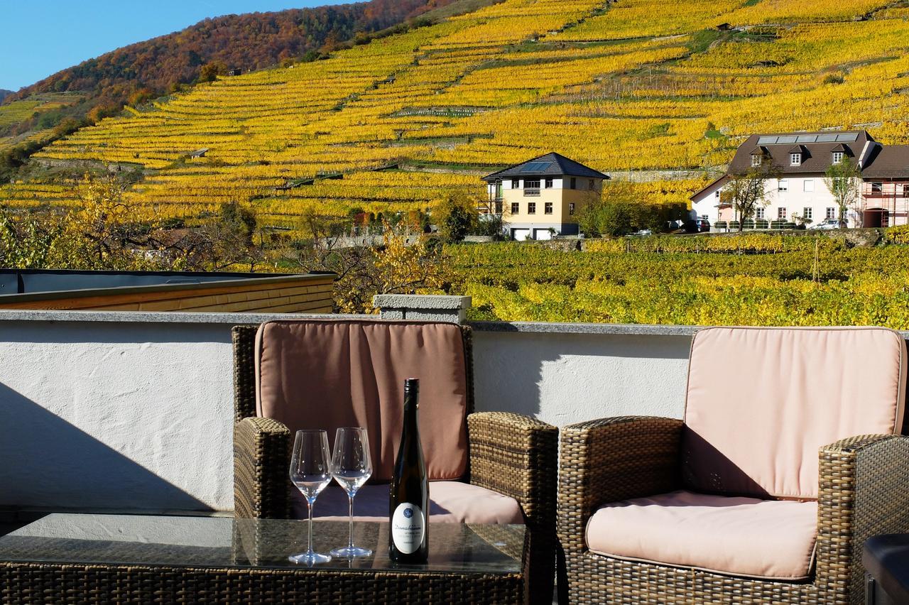 Weingut Donabaum "In Der Spitz" Lejlighed Spitz an der Donau Eksteriør billede